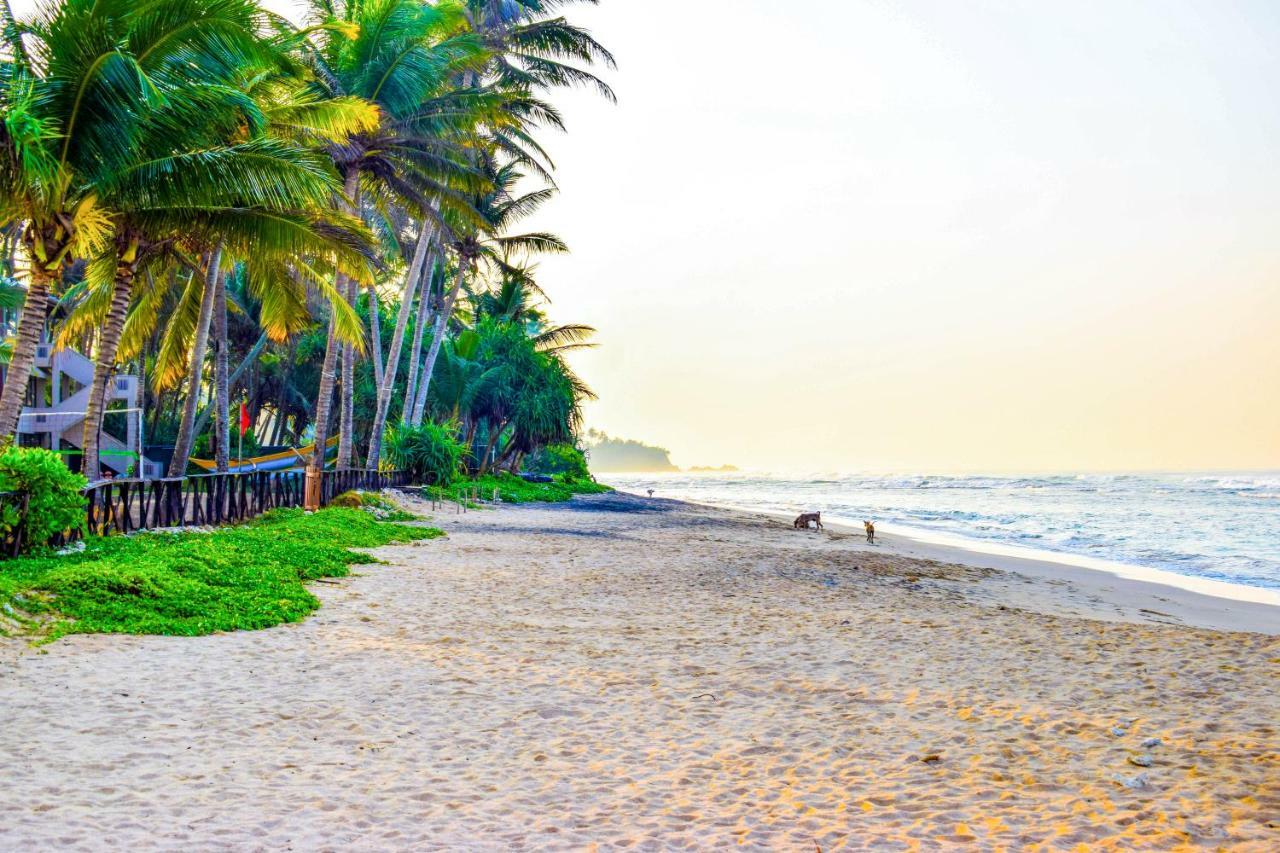 Insight Resort Ahangama - S&S Other Certified Bagian luar foto
